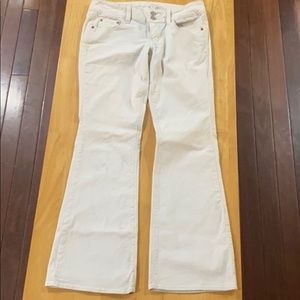 American Eagle, Artist, 8 reg